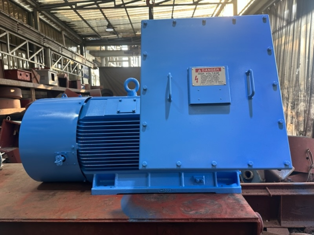 현대 고압 모터 FR355 250KW*2P*60HZ*6600V