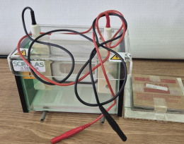 Bio-Rad Mini Protean 3 Cell 단백질 전기영동 장치