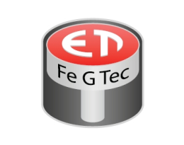 에프이지텍(FEG)