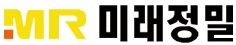 미래정밀