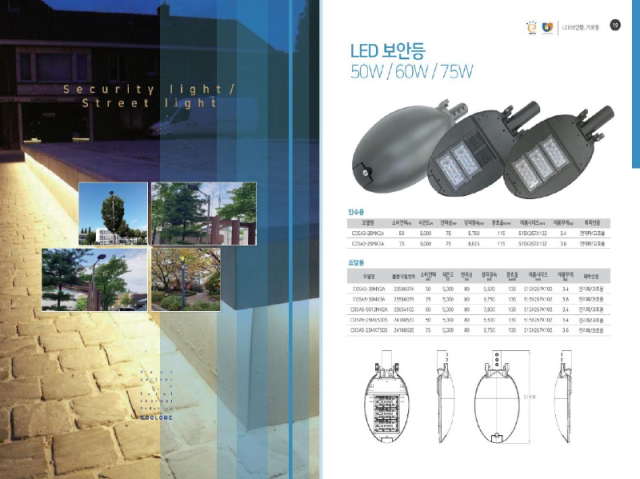 LED Security Luminaire Product Image
