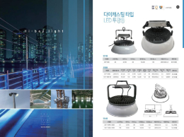 LED Flood Light