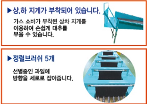사과대추선별기 5열 6단 / 황실대추선별기  왕대추선별기 농산물선별기 제품 이미지
