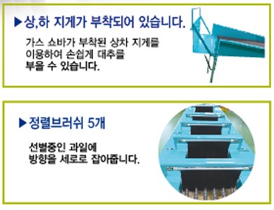 복조대추선별기 6열 7단 / 농산물선별기 제품 이미지