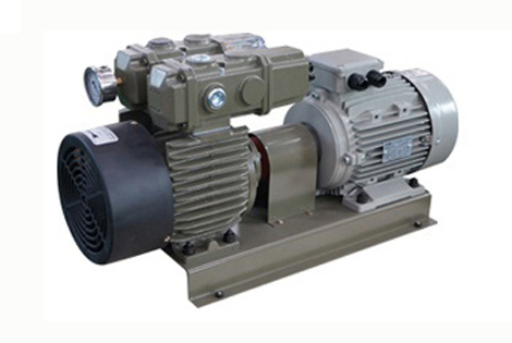 dry pump, carbon vane pump WVS series 제품 이미지