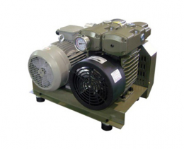 dry pump, carbon vane pump WVS series 제품 이미지 3