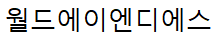 (주)월드에이엔디에스